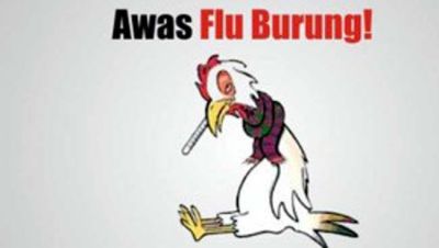 Disbunakkeswan Kampar Lakukan Kajian dan Telusuri Penyebab Flu Burung
