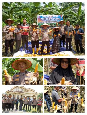 Kapolres Rohil  Isa Imam Syahroni, Panen Raya Jagung, Dukung Ketahanan Pangan Nasional