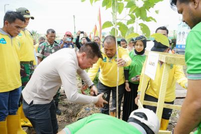 Peringati Hari Lingkungan Hidup Sedunia, Pemkab Rohil Tanam Ribuan Pohon