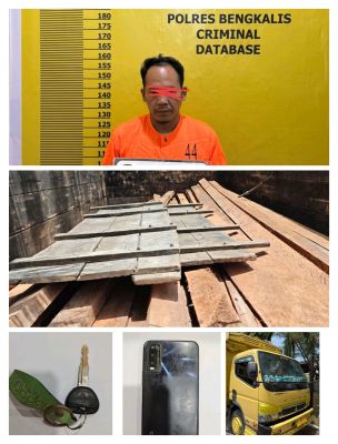 Polres Bengkalis Amankan Satu Pelaku, Kasus Illegal Logging di Siak Kecil