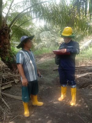 PT CPI Wajib Bertanggung Jawab Kompensasi Pemulihan Lingkungan Hidup Kepada Martianus Sinurat